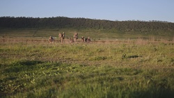 Swift Response 24: Joint Force Entry exercise 82nd ABN DIV B-roll