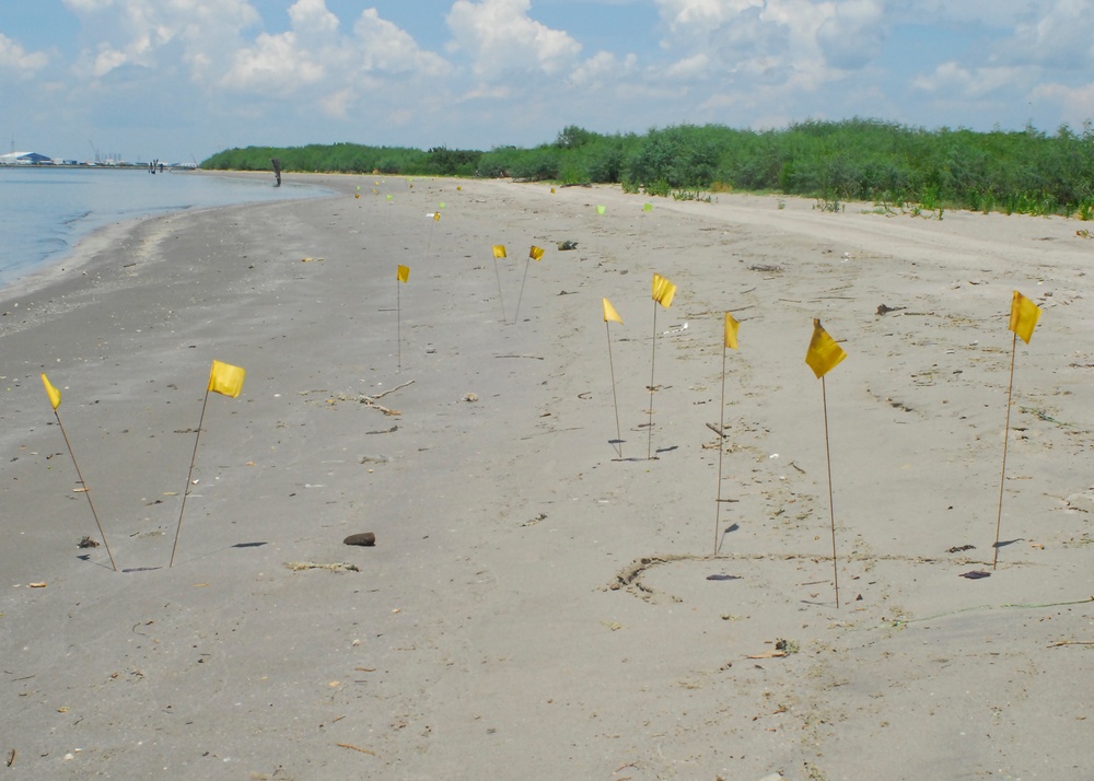 Dvids Images Deepwater Horizon Response Oiled Beach Port F