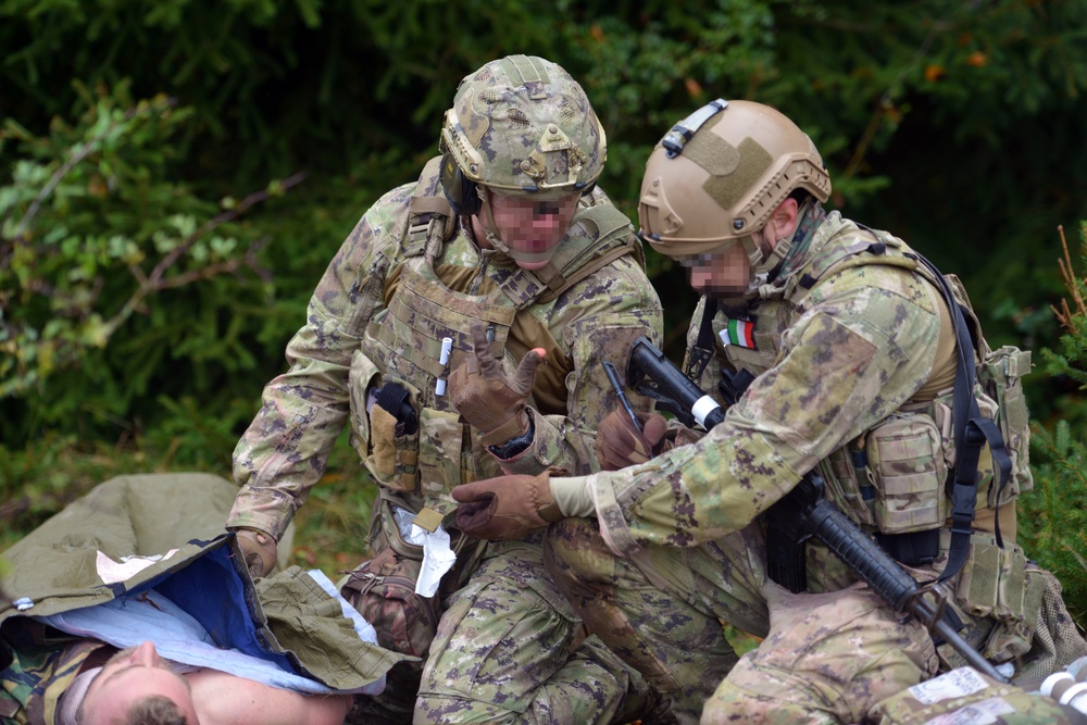 Dvids Images International Special Forces Medical Training In