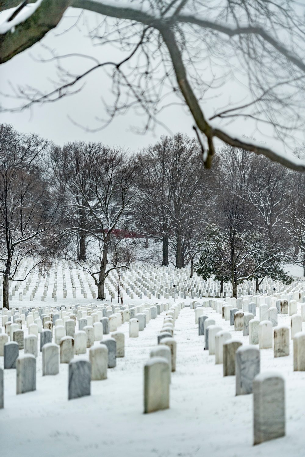 Dvids Images Winter At Arlington National Cemetery Image Of