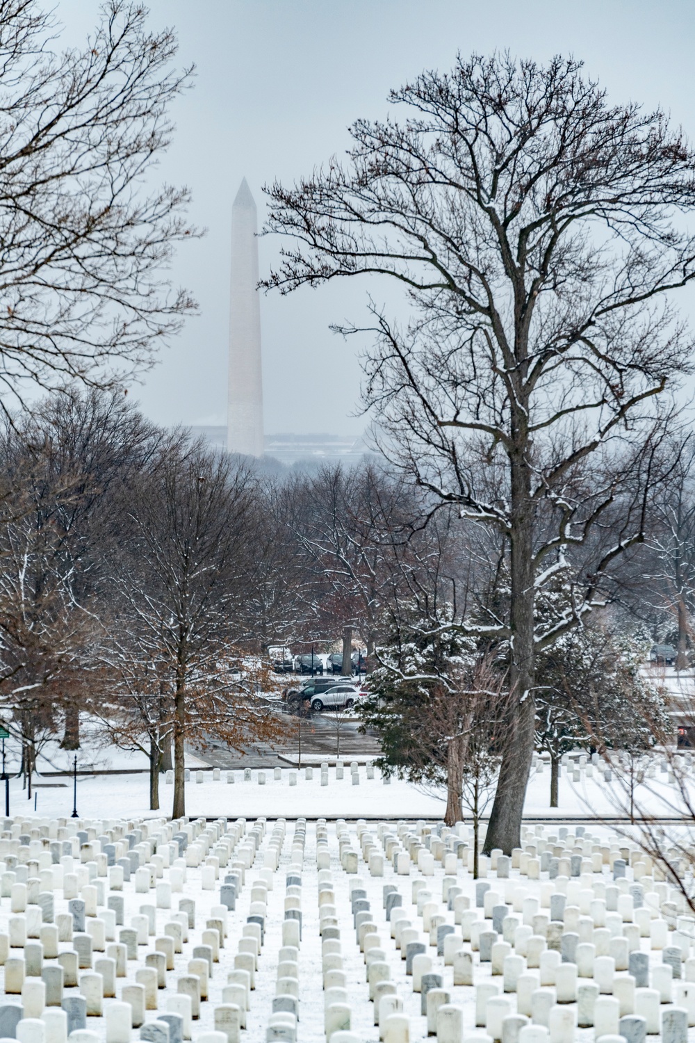 Dvids Images Winter At Arlington National Cemetery Image