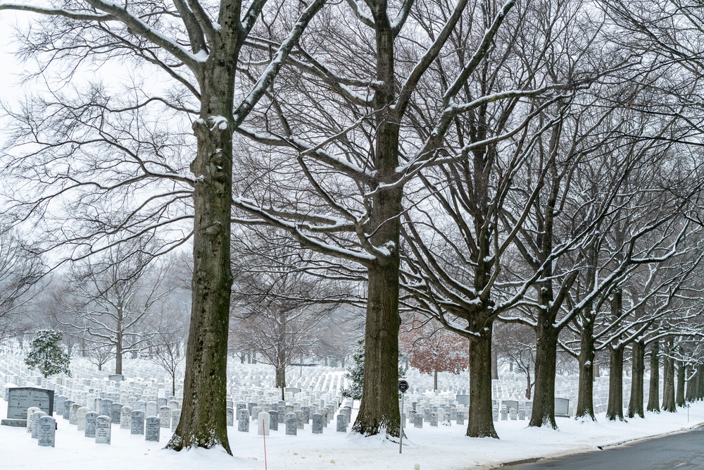 Dvids Images Winter At Arlington National Cemetery Image