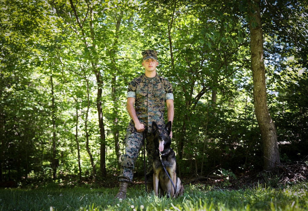 Dvids Images Marines Of The Crossroads Lance Cpl Mason Avers Mwd