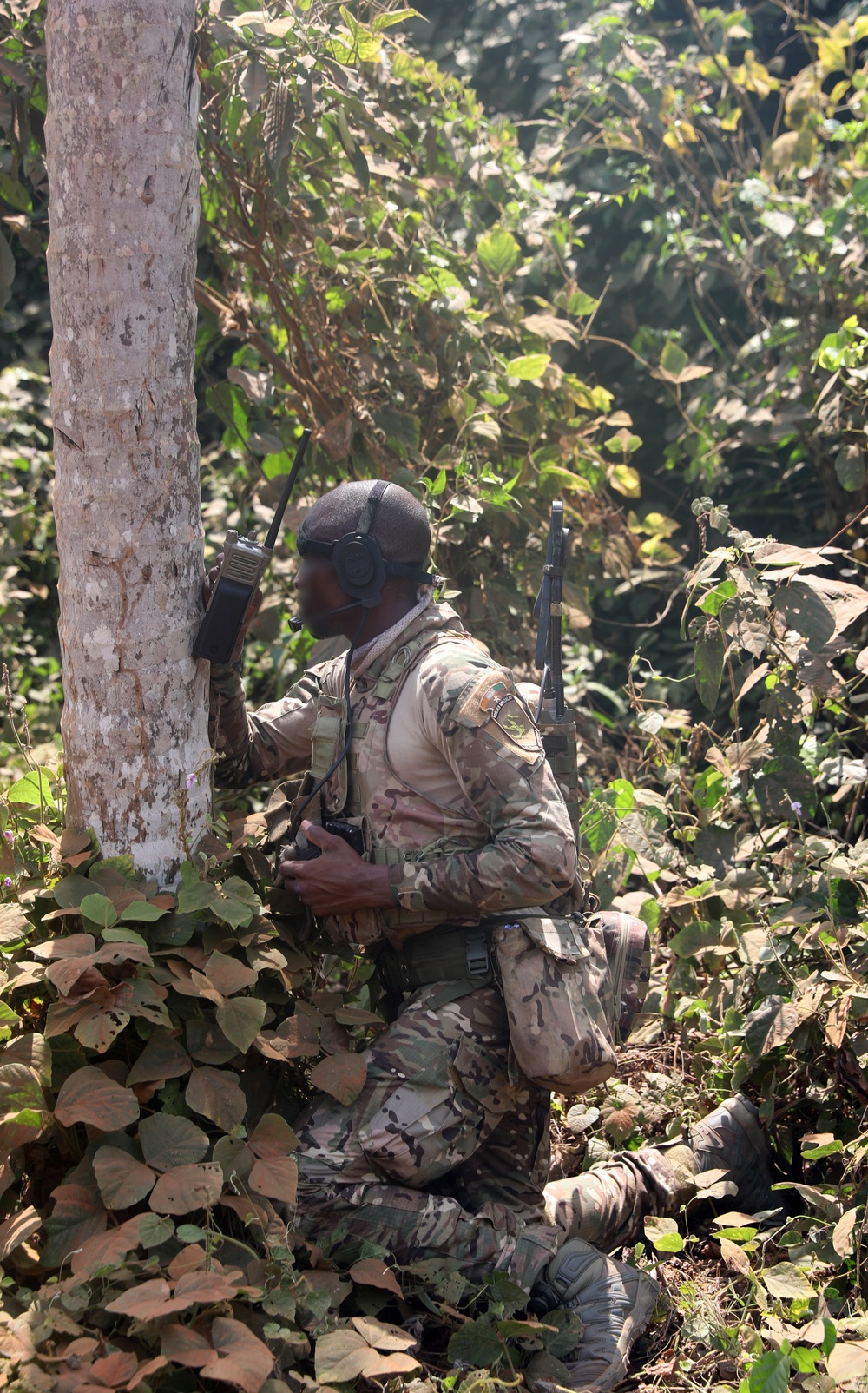 DVIDS Images Côte d Ivoire Special Forces ambush training Image 3