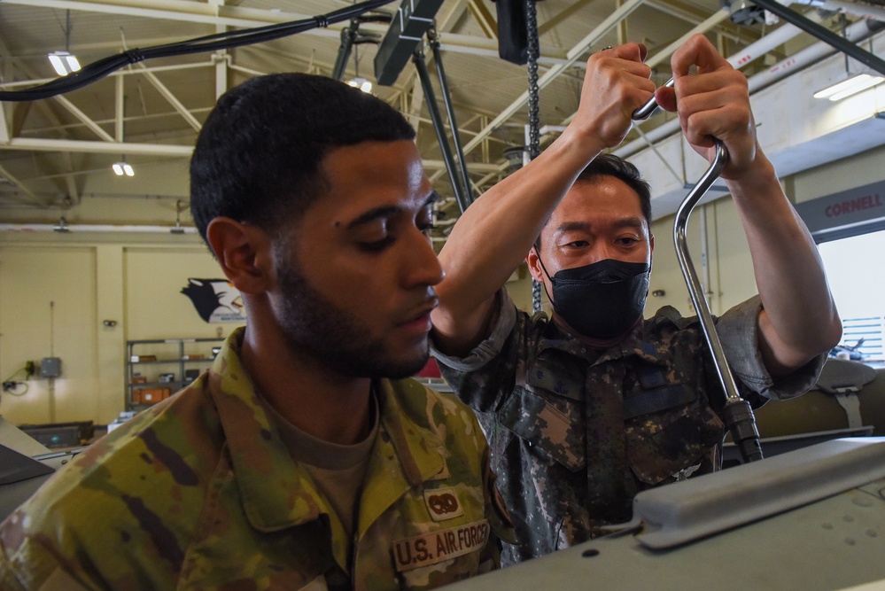 Dvids News Th Mxg Conducts Bilateral Immersion Training With Rokaf