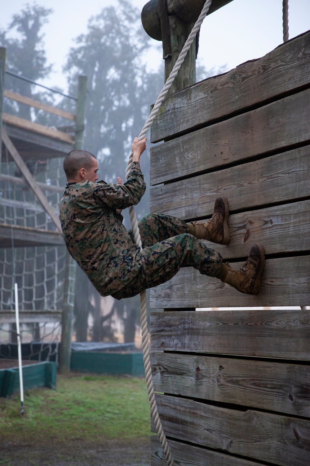 Dvids Images Delta Company Confidence Course Image Of