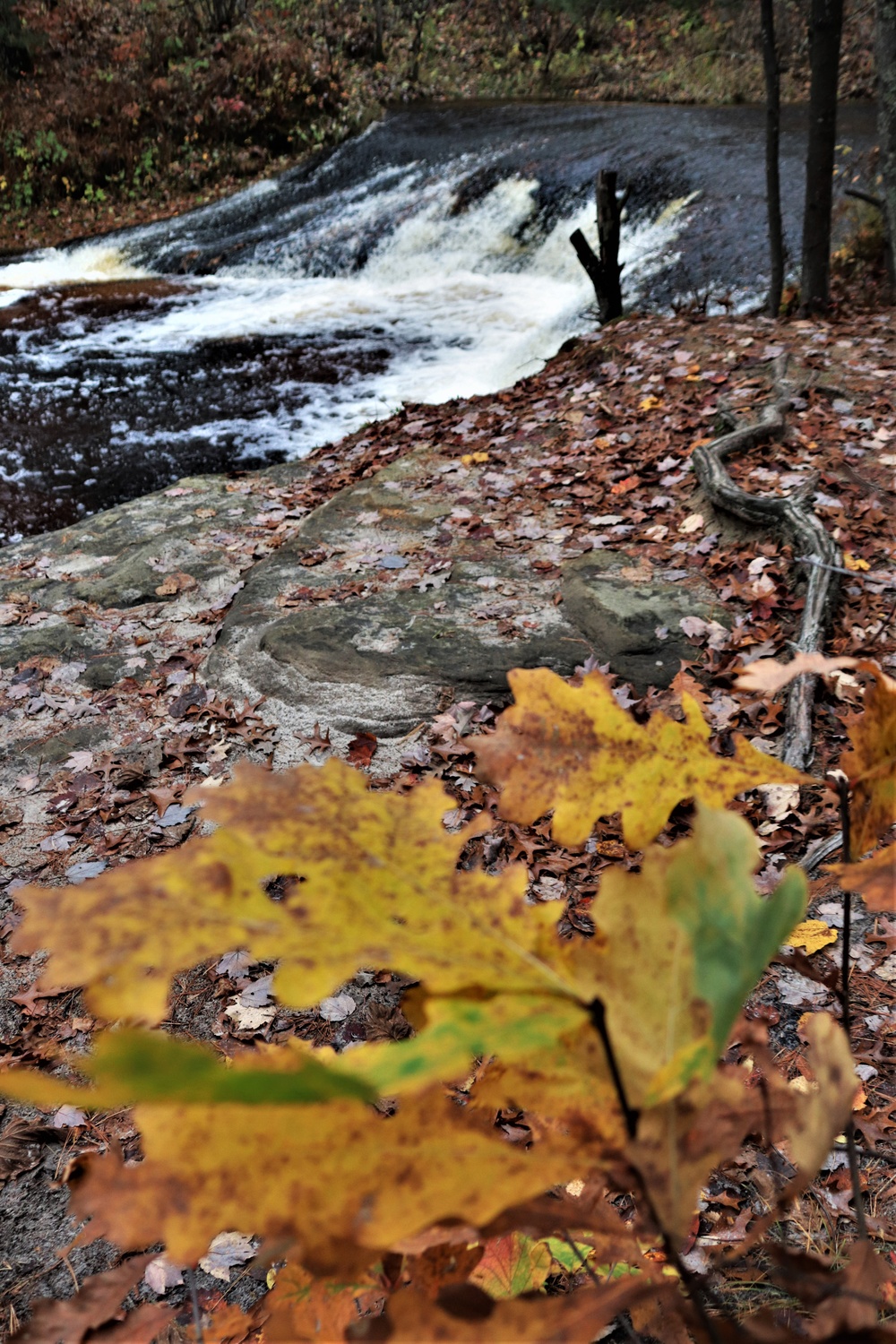 Dvids News Photo Story Fall Scenes At Trout Falls At Fort