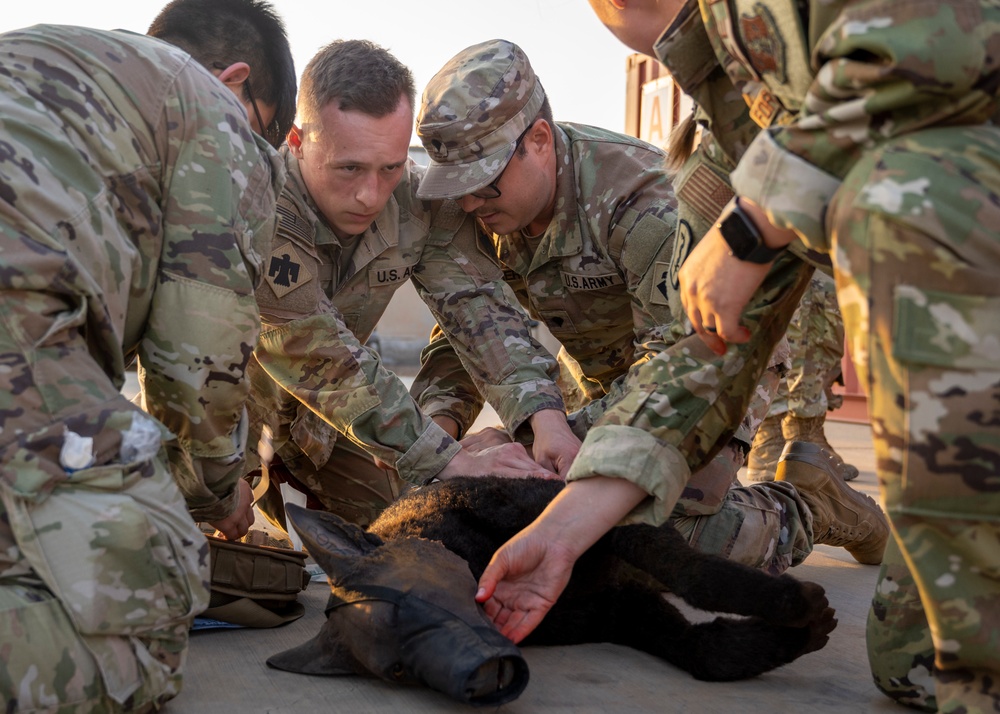 Dvids Images Cldj Conducts K Tactical Combat Casualty Care