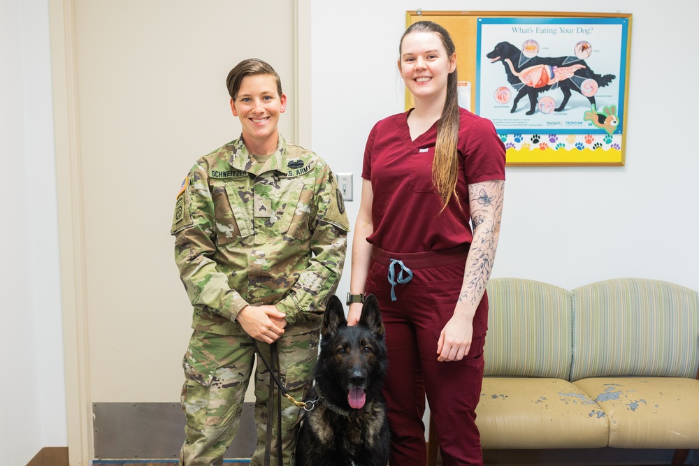 Dvids News Big Hearts For Furry Patients Fort Novosel Veterinary