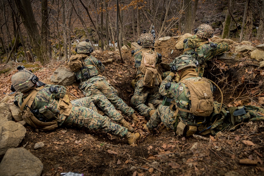 Dvids Images Warrior Shield U S Marines Execute Training At