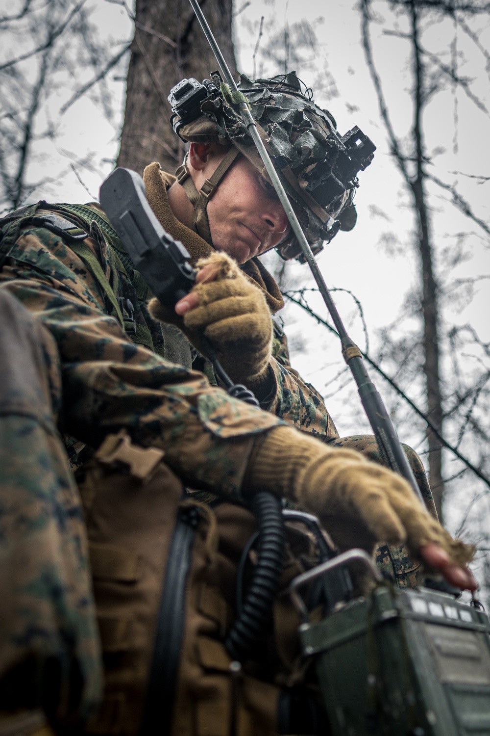 DVIDS Images Warrior Shield 24 U S Marines Execute Training At