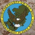 Special Purpose Marine Air Ground Task Force - Crisis Response - Central Command