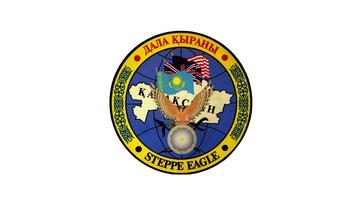Steppe Eagle 2014