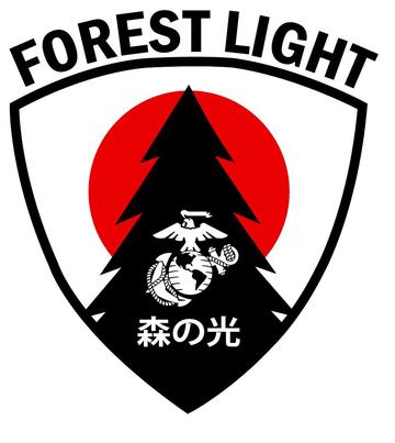 Forest Light 21