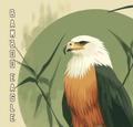 Bamboo Eagle