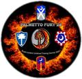 Operation Palmetto Fury