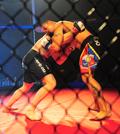 Mixed Martial Arts in the Military