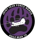 AGILE BEAR 25
