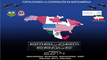 AMALGAM EAGLE 2025