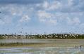 Lake Okeechobee Media Event - AIS0626