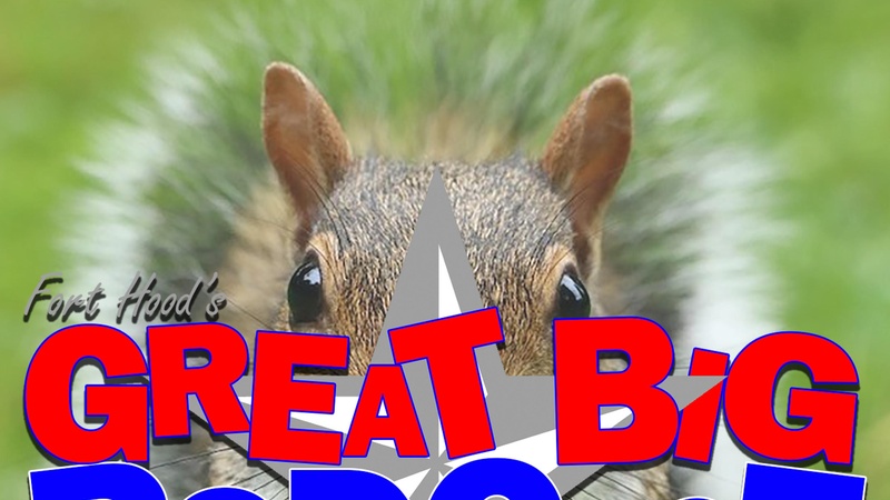 Fort Hood's Great Big Podcast - 4ID War Memorial in Disarray &amp; Tiny Furniture for Squirrels - April 30, 2020