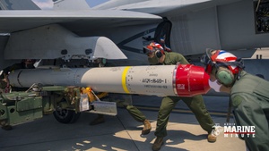 Marine Minute: Harpoon Training Exercise