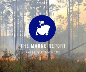 The Marne Report- Forestry Branch 101