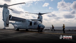 Marine Minute: Exercise Noble Fusion