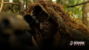 Marine Minute: Jungle Warfare Exercise 23