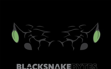 Blacksnake Bytes Ep. 9 - Supporting Services (pt 1)