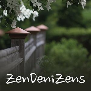 Zendenizens - Ep 004 - SAPR and the Inspector General's Office