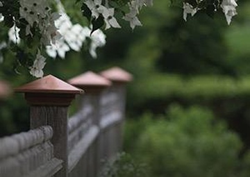 Zendenizens - Ep 004 - SAPR and the Inspector General's Office