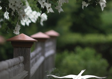 Zendenizens - Ep 005 - SAPR and the Chaplain