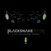 Blacksnake Bytes Ep. 19 - Physical Fitness