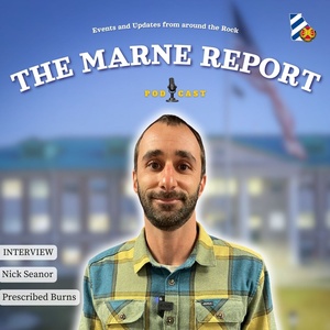 The Marne Report