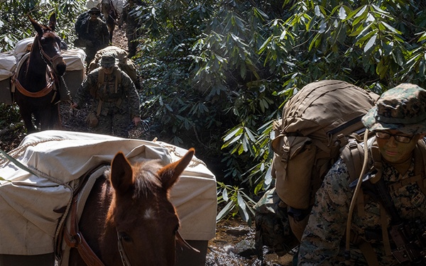 Marine Minute: 20.2-25 (Audio Version)