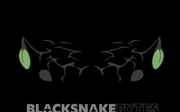 Blacksnake Bytes Ep. 31 - Public Affairs Spotlight