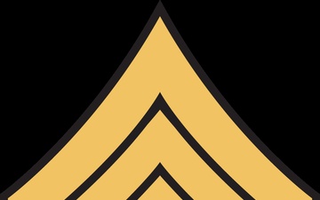 Vector - NCO Ranks: MSG