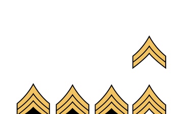 Vector - NCO Ranks: Adobe Illustrator Project File