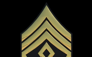 3D - Army 1SG Enlisted Rank