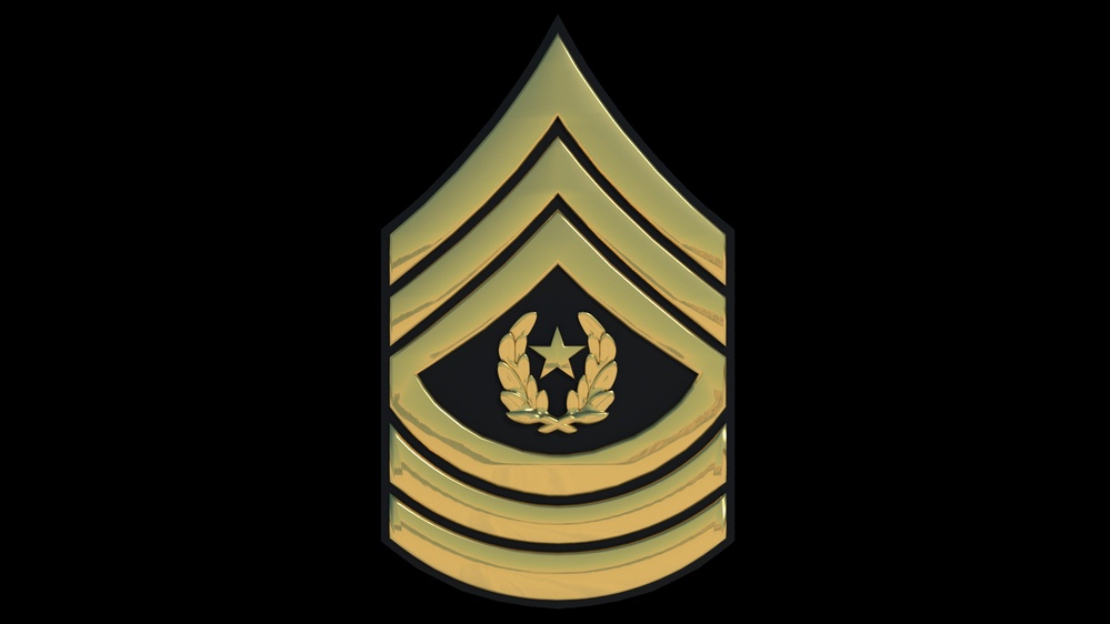 3D - Army CSM Enlisted Rank