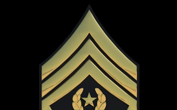 3D - Army CSM Enlisted Rank