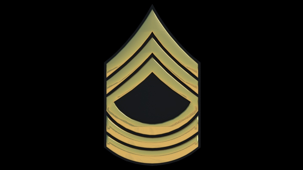 3D - Army MSG Enlisted Rank