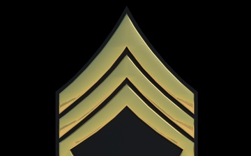 3D - Army MSG Enlisted Rank