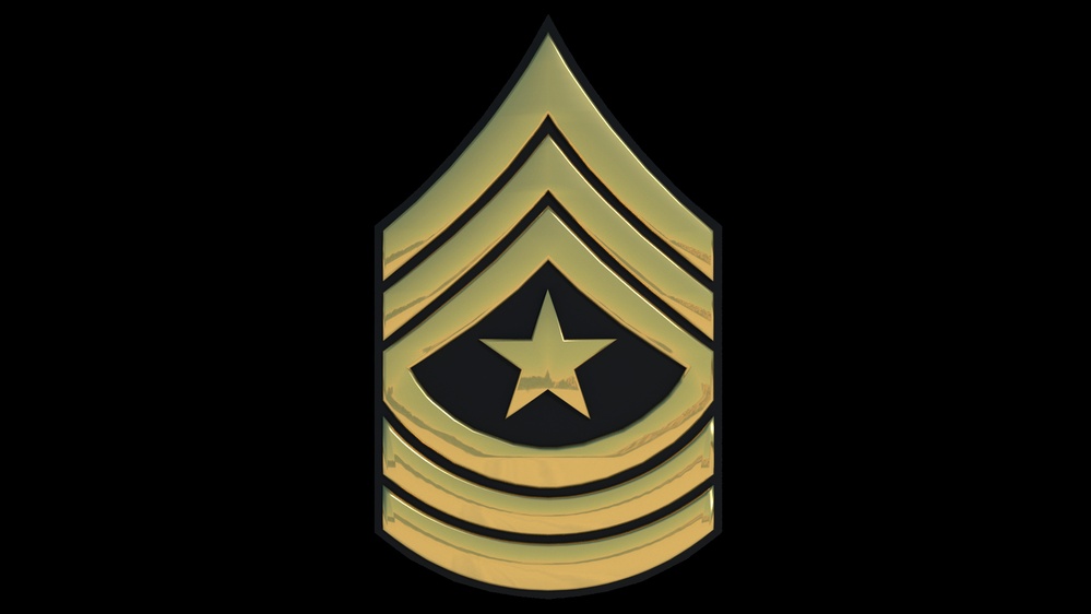 3D - Army SGM Enlisted Rank