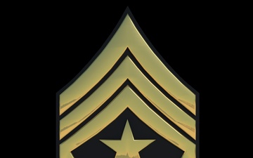 3D - Army SGM Enlisted Rank