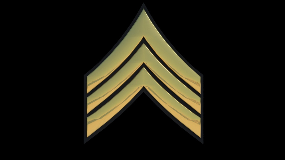 3D - Army SGT Enlisted Rank