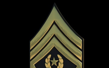 3D - Army CSM Enlisted Rank (Angled)