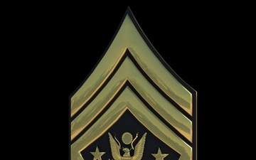 3D - Army SMA Enlisted Rank (Angled)