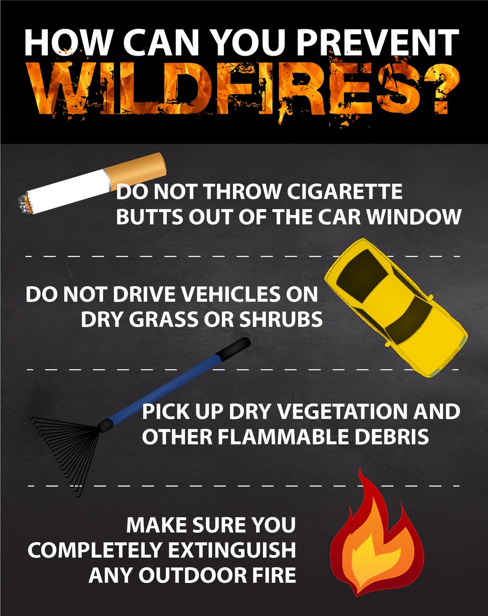How Can You Prevent Wildfires?